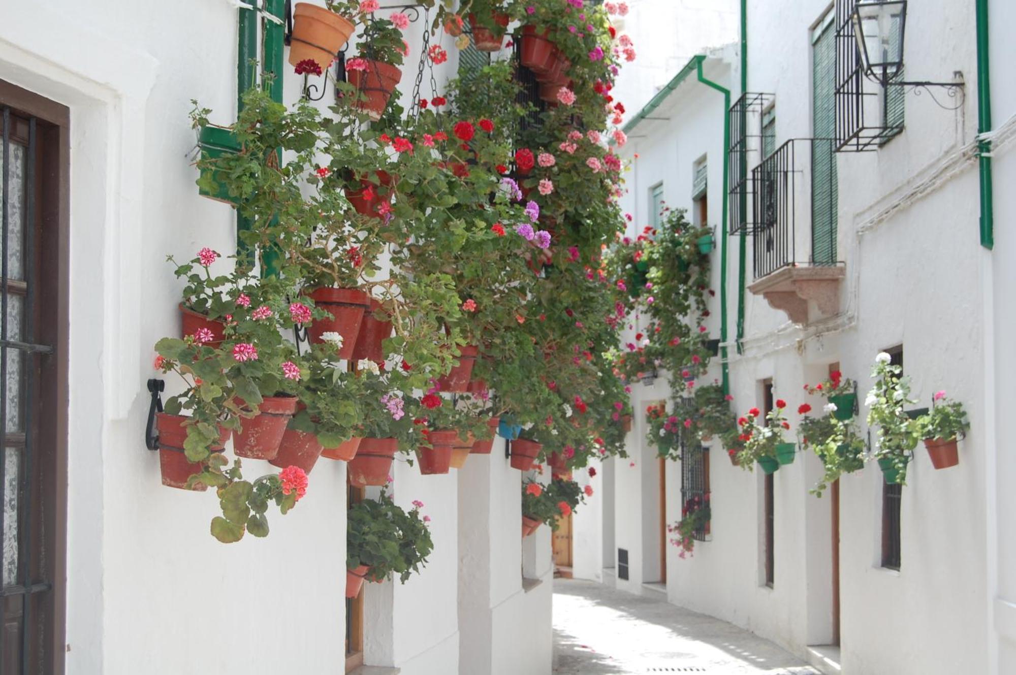 Casa Banos De La Villa Priego de Córdoba Eksteriør billede
